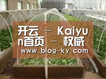 环境展示五