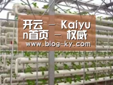 环境展示六