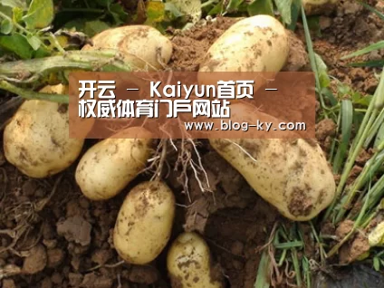 种植基地六