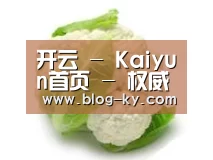 产品名称九