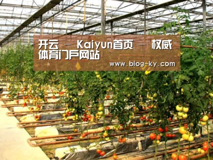 种植基地二