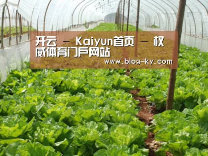 种植基地五