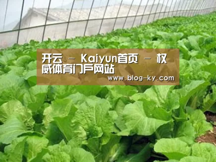 种植基地一