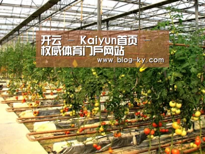 种植基地二(图1)