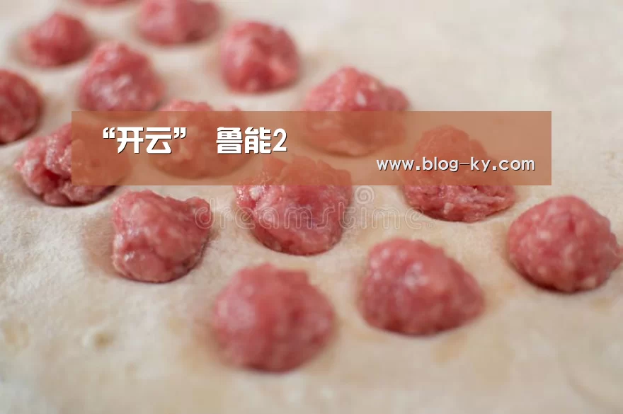 “开云”
鲁能2(图1) 开云官网