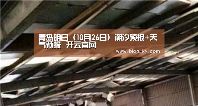 开云体育下载