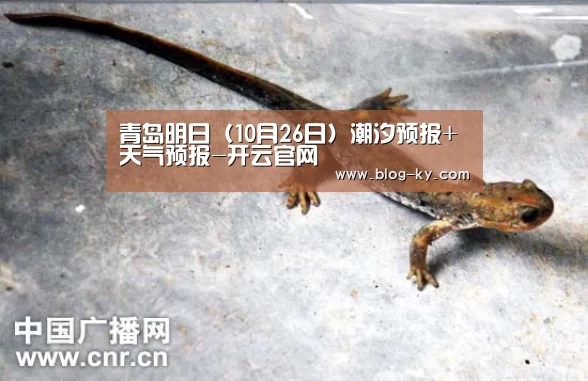 开云体育下载
