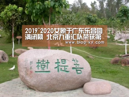 开云体育下载
